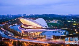 成都公园爆料视频下载大全,一窥城市绿肺的活力瞬间